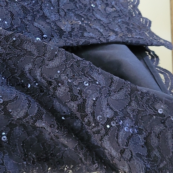 Alex Evenings Lace Sequence Evening Dress Size 12 - Picture 5 of 8